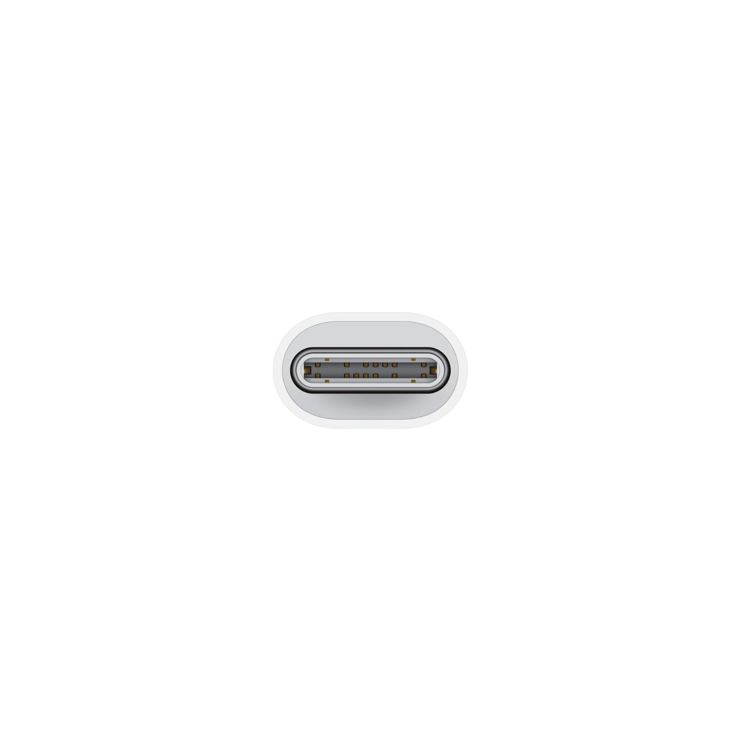 USB-C to Lightning Adapter-ZML