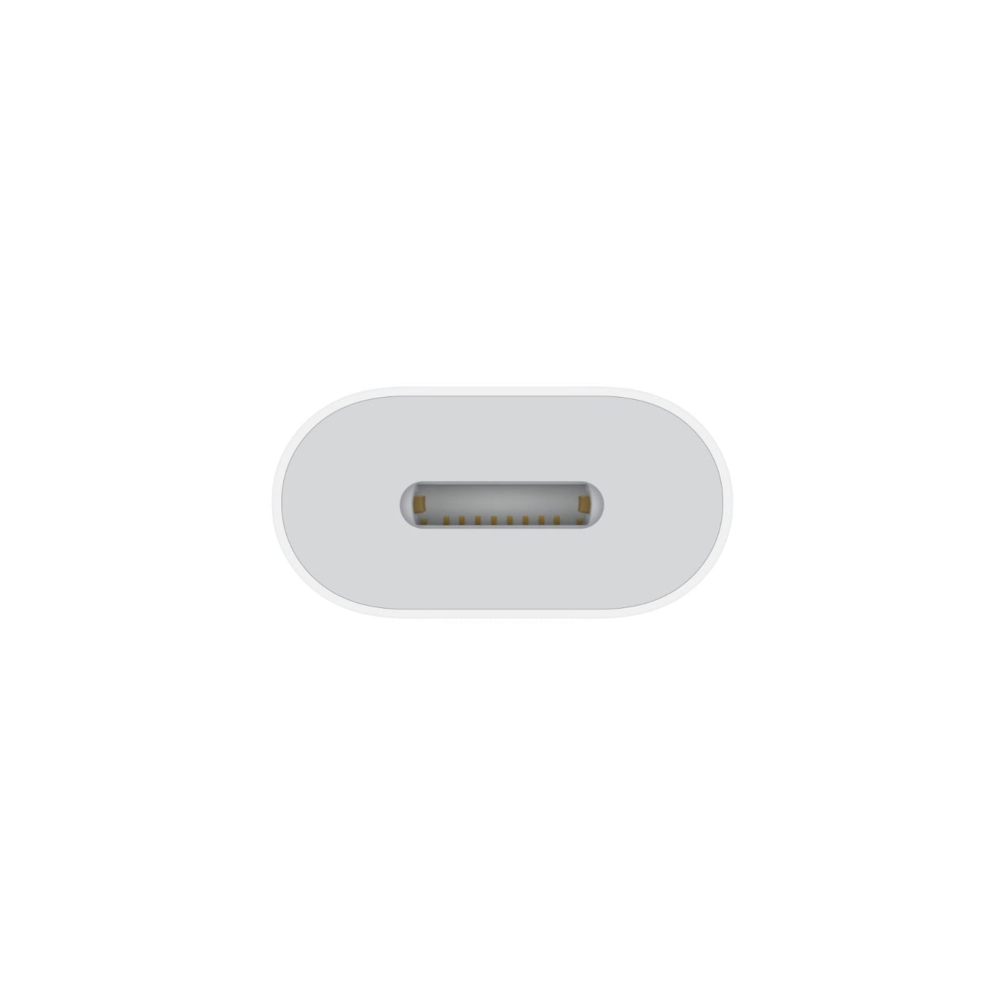 USB-C to Lightning Adapter-ZML