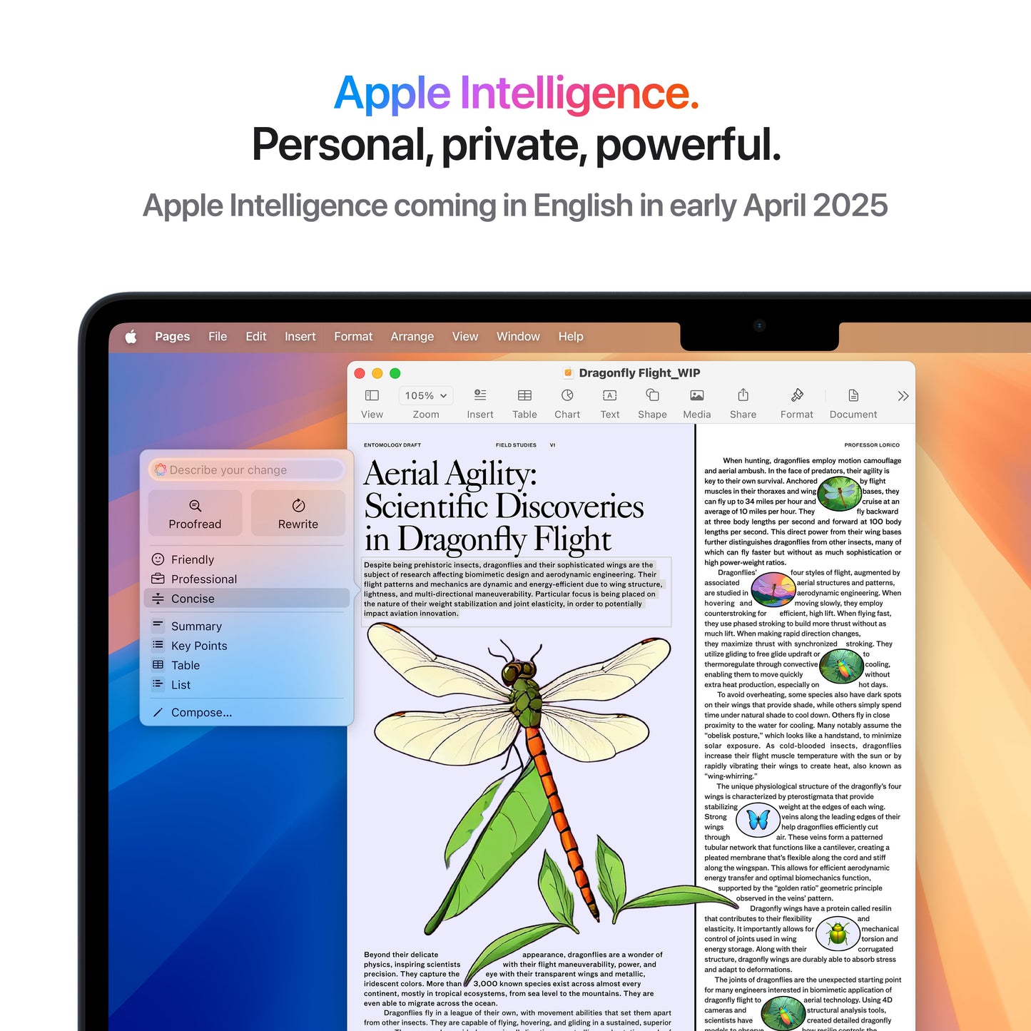 13-inch MacBook Air: Apple M4 chip with 10-core CPU and 8-core GPU, 256GB SSD - Midnight
