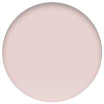 iPad mini Wi-Fi + Cellular 256GB - Pink (6th generation)