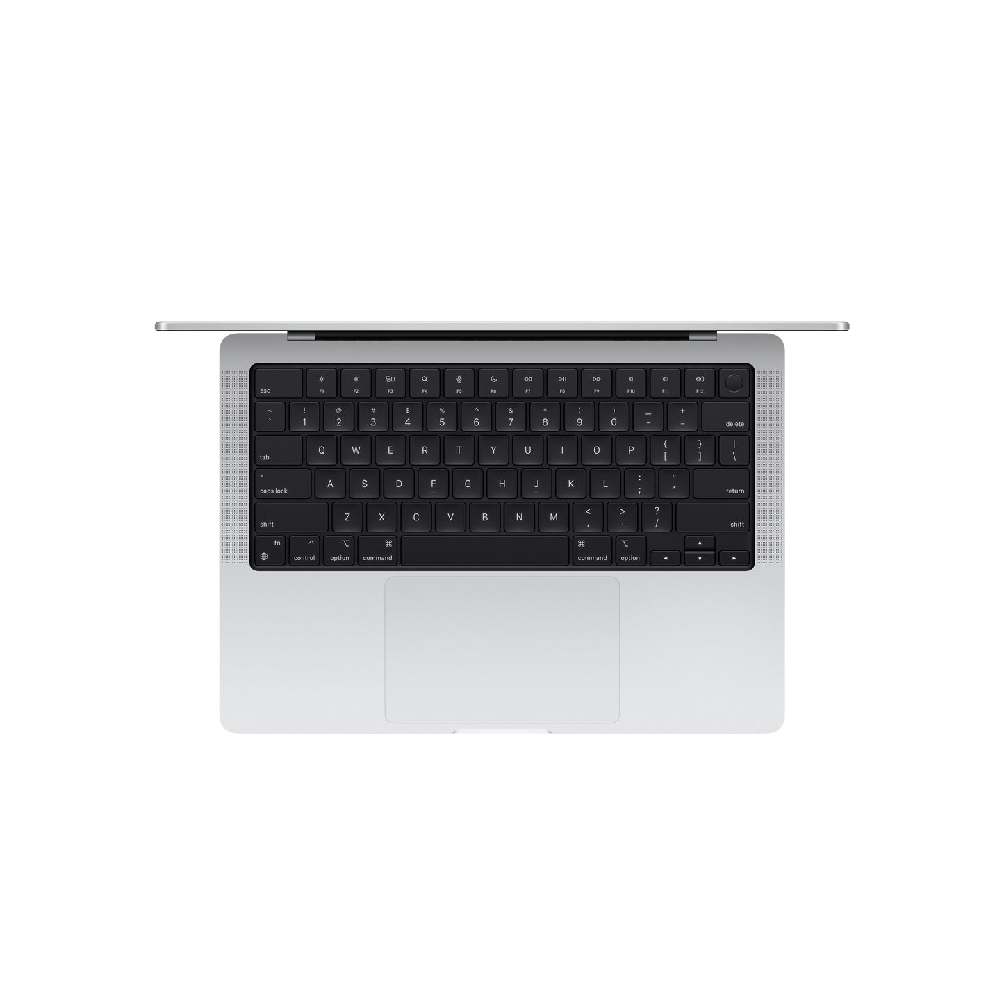 14-inch MacBook Pro: Apple M4 Max chip with 14?core CPU and 32?core GPU, 1TB SSD - Silver