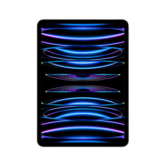 2022 11-inch iPad Pro Wi-Fi + Cellular 128GB - Silver (4th generation)