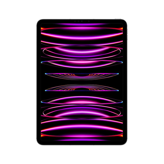 2022 11-inch iPad Pro Wi-Fi + Cellular 512GB - Space Grey (4th generation)