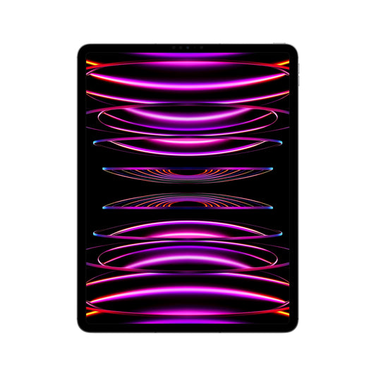 2022 12.9-inch iPad Pro Wi-Fi + Cellular 256GB - Space Grey (6th generation)