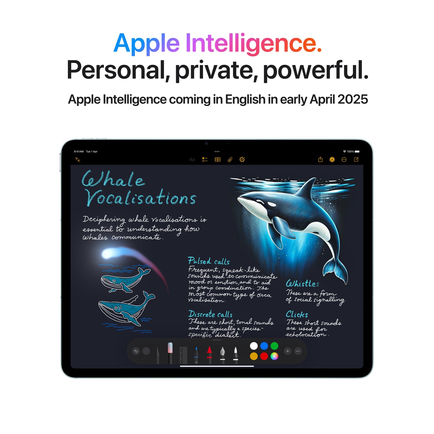 13-inch iPad Air Wi-Fi + Cellular 128GB - Blue (M3)