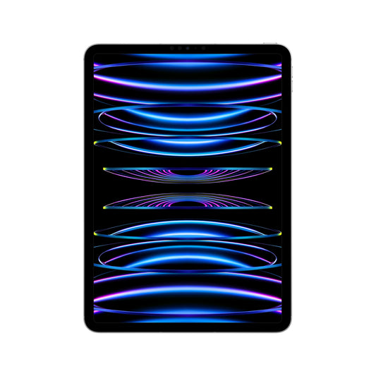 2022 11-inch iPad Pro Wi-Fi + Cellular 512GB - Silver (4th generation)