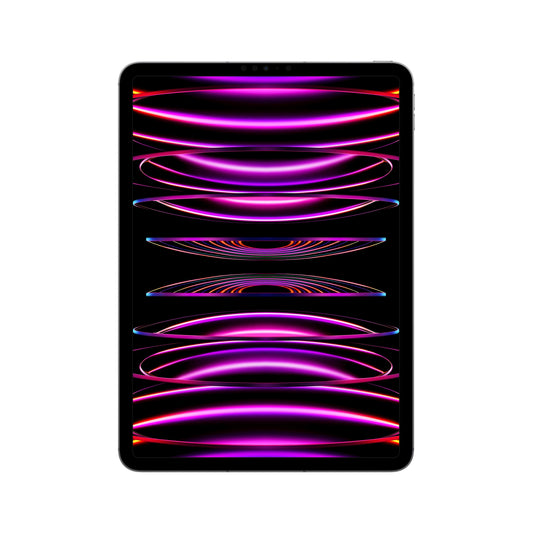 2022 11-inch iPad Pro Wi-Fi + Cellular 128GB - Space Grey (4th generation)