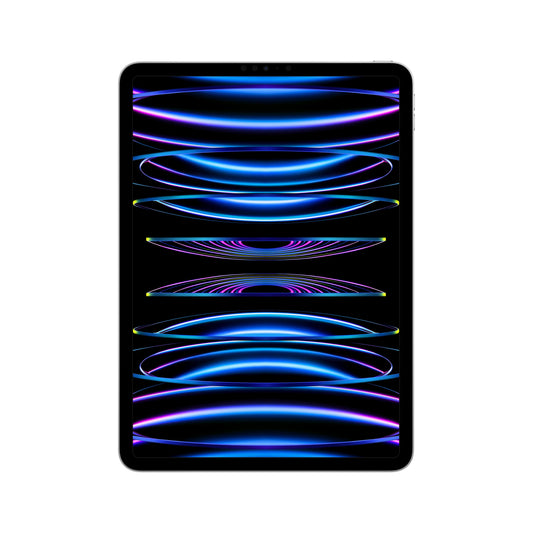 2022 11-inch iPad Pro Wi-Fi 1TB - Silver (4th generation)
