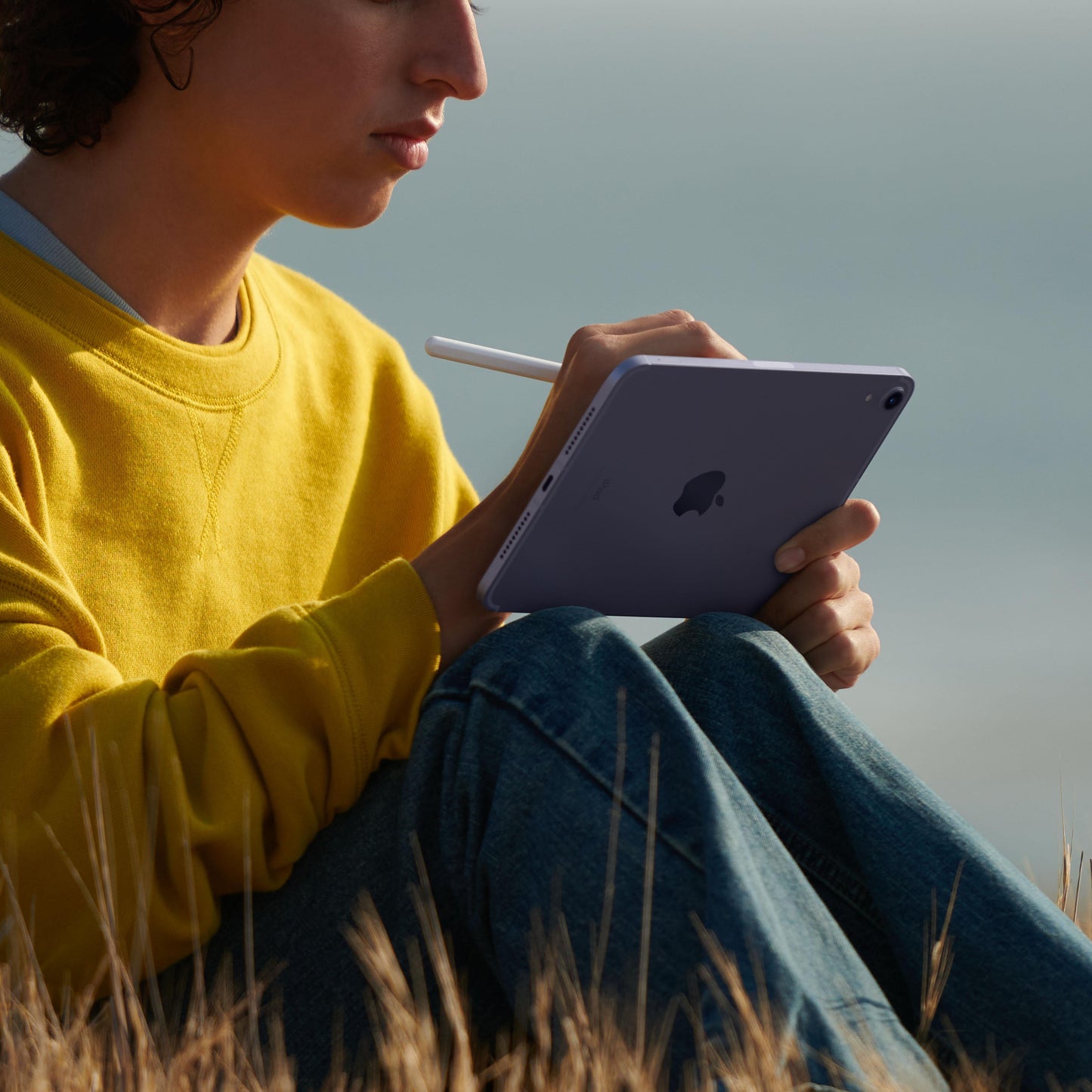 iPad mini Wi-Fi + Cellular 256GB - Starlight (6th generation)